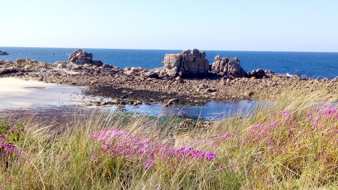 Willa Tiny House Sur La Cote Bretonne Cléder Zewnętrze zdjęcie